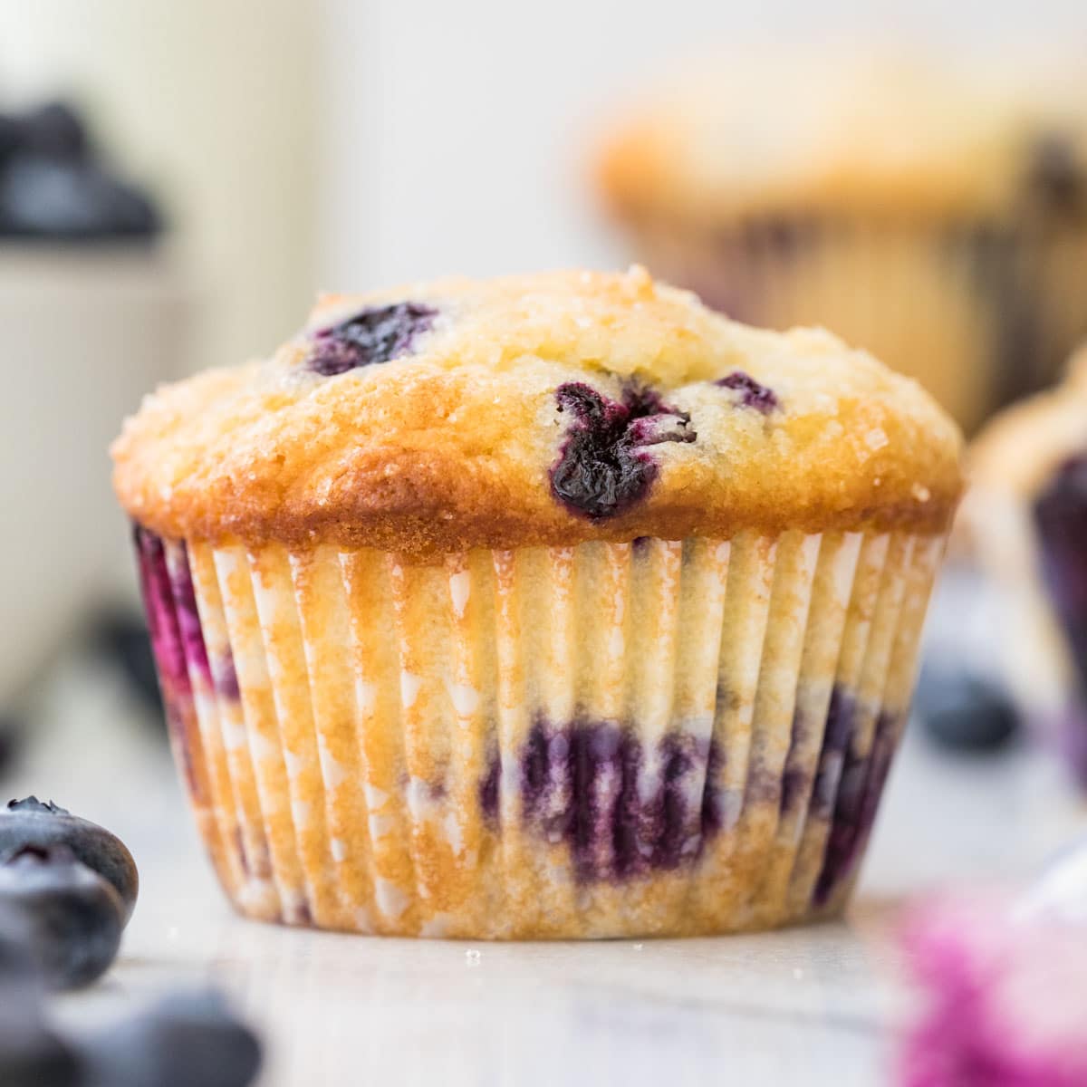 Blueberry Muffins Box
