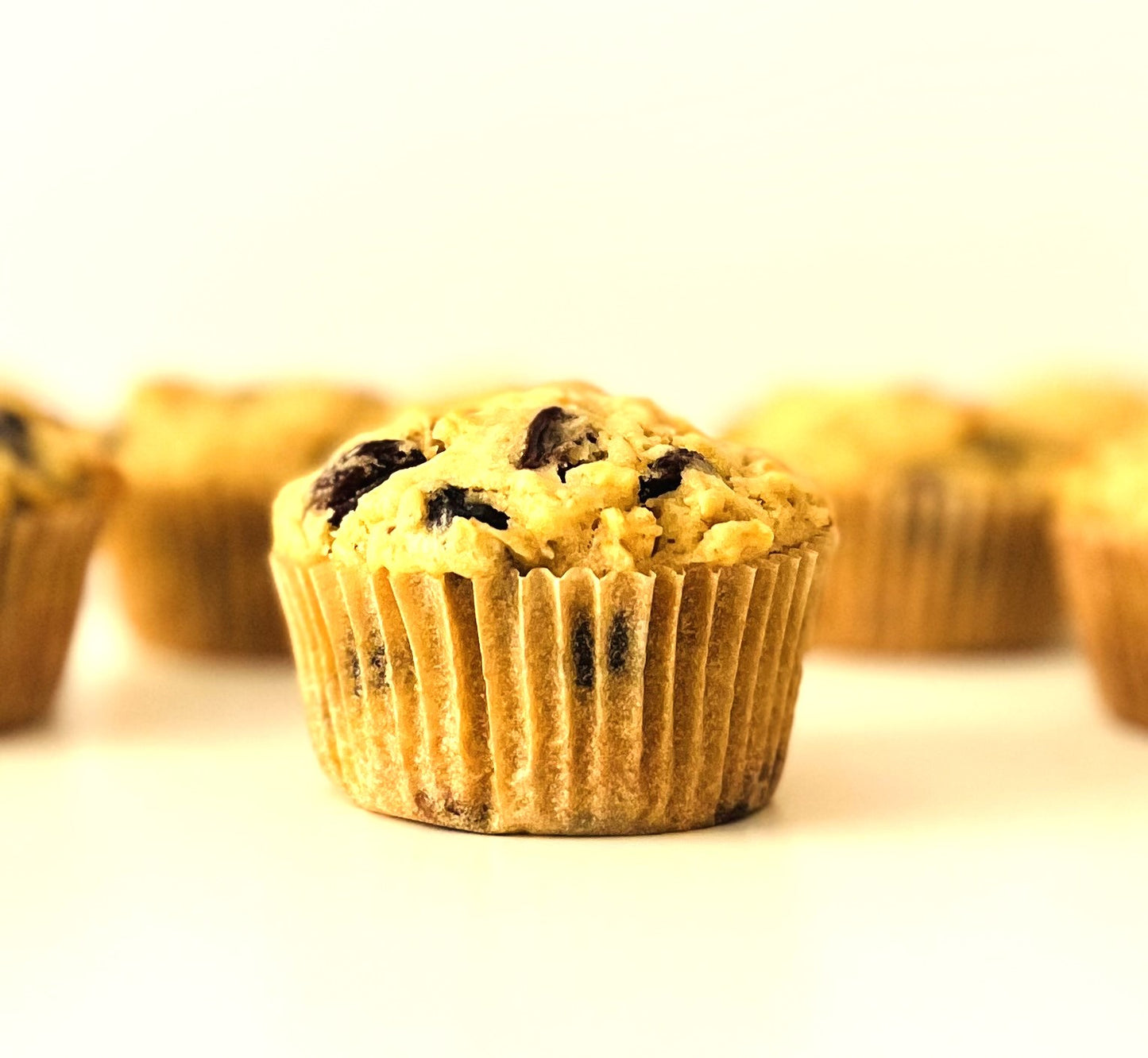 Oatmeal Muffin