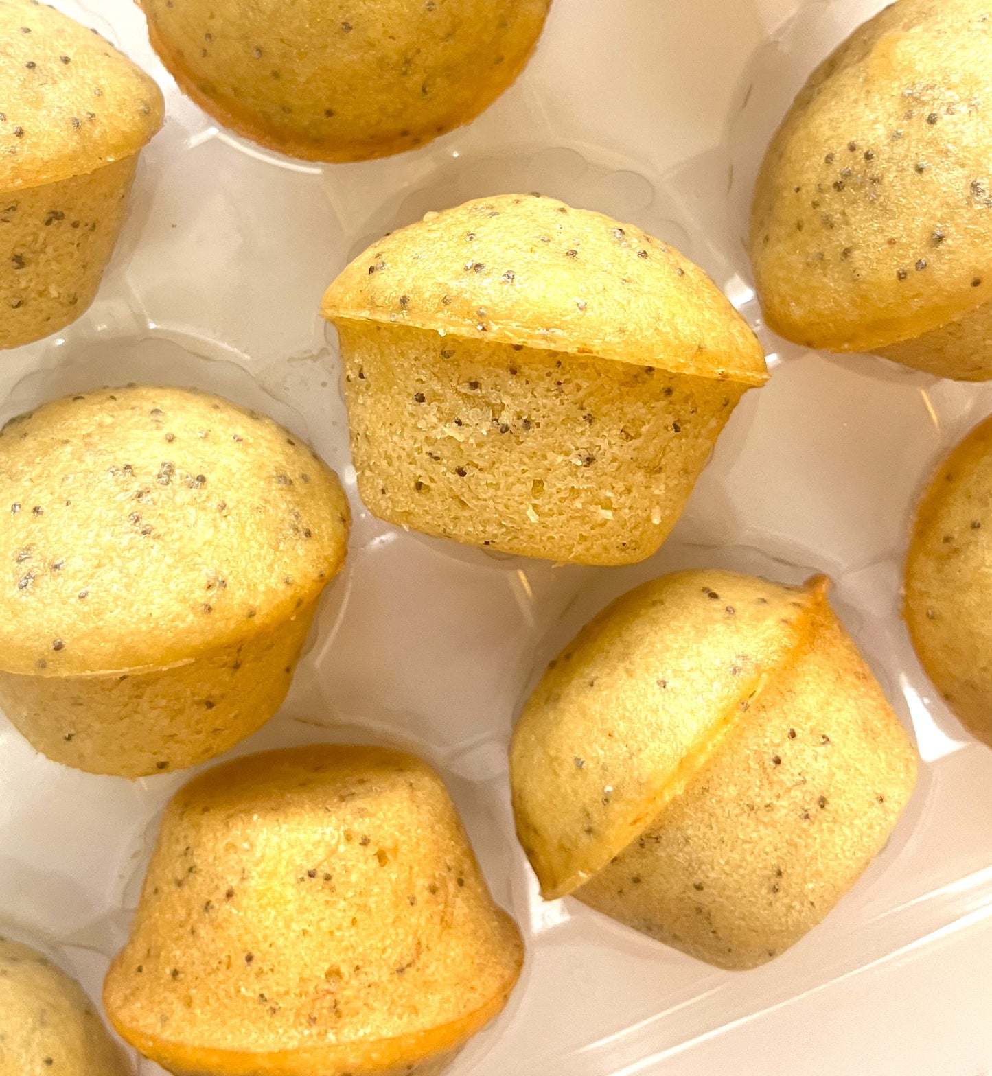 Poppy Seed Mini Muffin Box